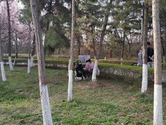 -西安汉城湖景区