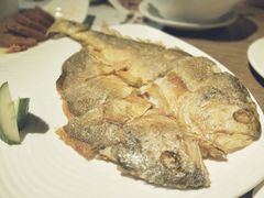 -蝴蝶汇音乐酒馆(罗湖店)