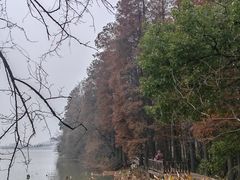 -东湖落雁景区