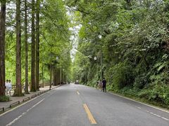 -青城山