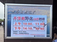 -盐城丹顶鹤湿地生态旅游区