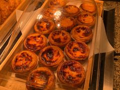 -美食小镇·观赏珍稀鸟类·长隆熊猫酒店