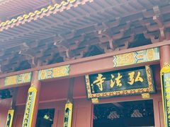 -深圳仙湖植物园