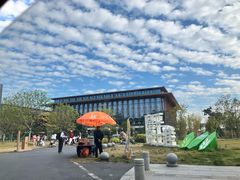 -长洲岛