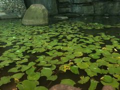 -明月山天沐温泉度假村