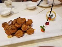 澳带杏鲍菇-御龙宴