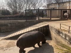 -合肥野生动物园