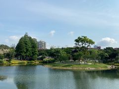 -四海公园(南山区)