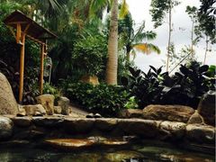 -厦门日月谷温泉渡假村