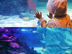 -沈阳海洋探索中心