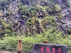 -望天鹅景区