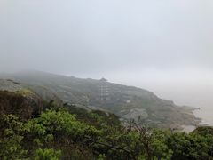 -洋山深水港