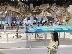 -国家自然博物馆