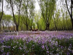 -东郊湿地公园