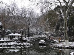 -梅花山(明孝陵内)