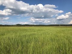 -塞罕坝国家级自然保护区