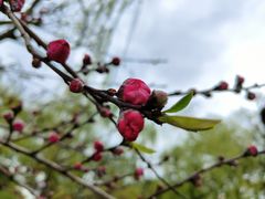 -柳莺湖上·湖景餐厅·江南菜(西湖店)