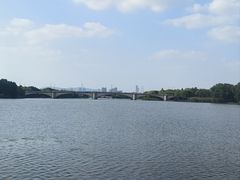 -长广溪湿地公园