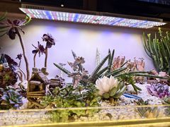 -街角等你.大连海鲜烧烤(西安路店)