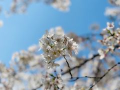 -白塘生态植物园