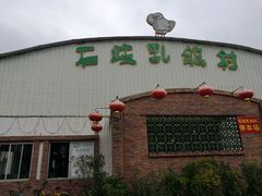 门面-石岐乳鸽村(桥观坊南四巷店)