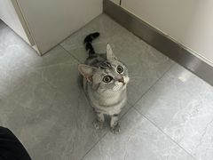 -中农国际动物医院24小时·猫科·骨科·急重症中心