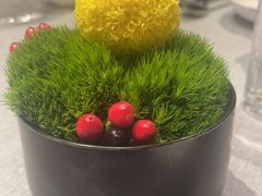 -柿合缘新京菜(国金中心商场店)