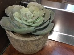 -米屋石锅拌饭(师大店)