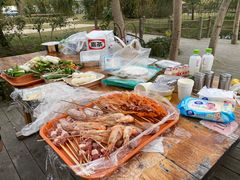 -前小桔亲子创意农场·草莓采摘·露营烧烤