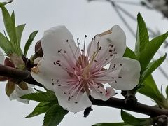 -艾溪湖湿地公园