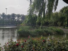 -中国农业博物馆