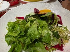 -大鸭梨烤鸭店(花园村店)