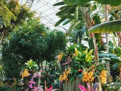 -北京植物园-展览温室