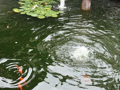 -得丘礼享谷·玉兰苑