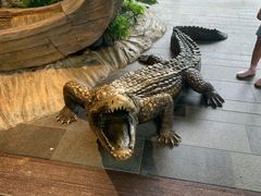 -河川生态园