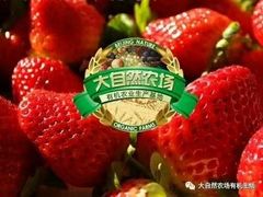 店铺首图-大自然农场蔬菜草莓采摘园