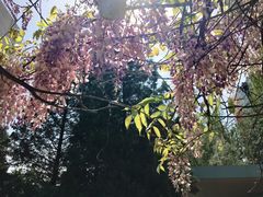 -北京信息科技大学(小营校区)
