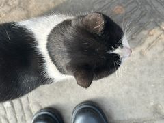 -恩阳古镇