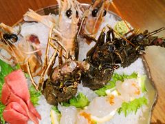-九井澤精致料理(金茂店)