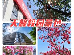-天籁艺术高考培训学校·重庆艺考集训