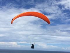 -Bamboo Bar & Grill Restaurant