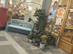 -猫的天空之城概念书店(印象城购物中心店)