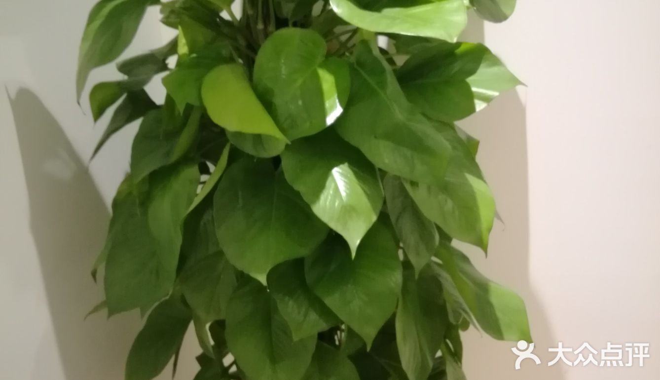 强力推荐这家店