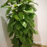 强力推荐这家店