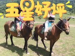 -关山草原