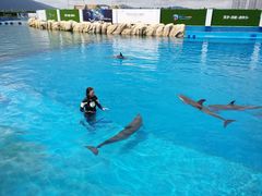 -三亚海昌梦幻海洋不夜城