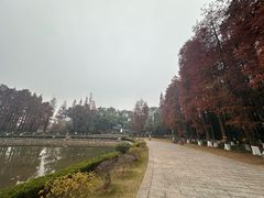 -李时珍纪念馆