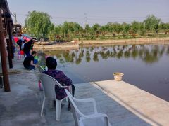 -同銮特种养殖场·龙虾垂钓