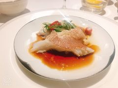 -伯衡55·吉品轩(乌鲁木齐南路店)