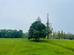 -良渚古城遗址公园